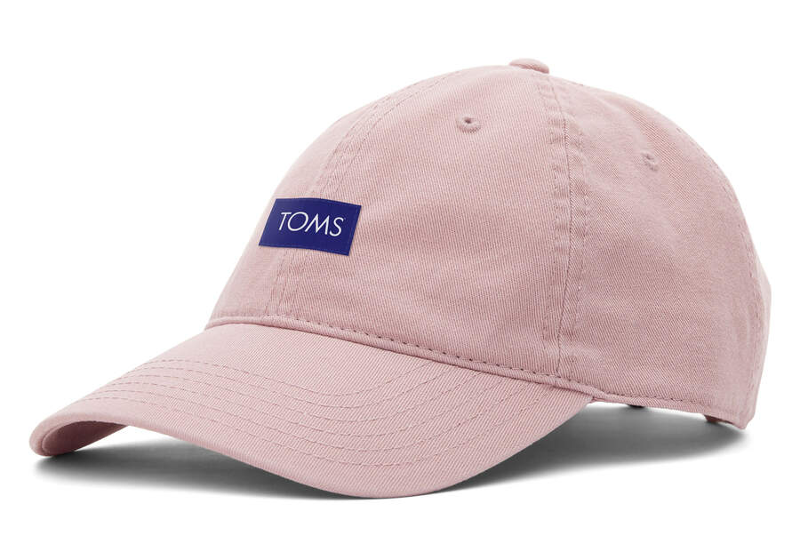 Toms Logo Dad Hat Rosas Chile | CL721-149