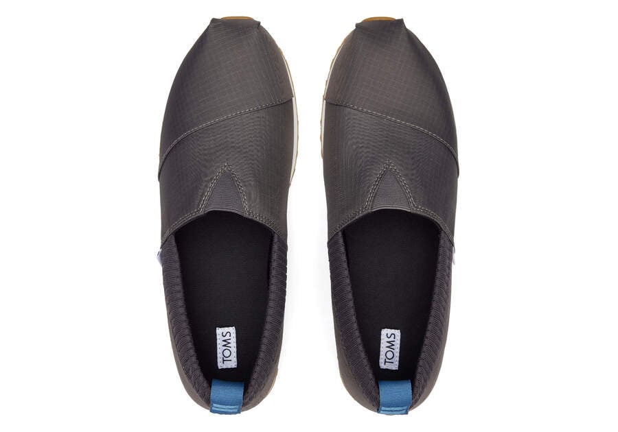 Toms Resident Gris Chile | CL431-293