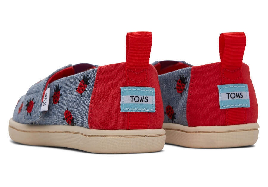 Toms Tiny Alpargata Lucky Ladybugs Azules Chile | CL717-200