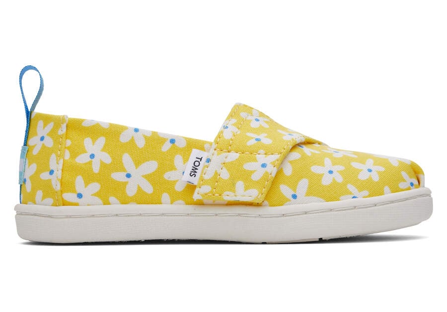 Toms Tiny Alpargata Sun Daisies Amarillo Naranjas Chile | CL802-463