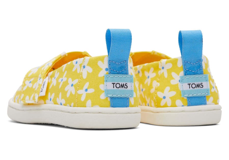 Toms Tiny Alpargata Sun Daisies Amarillo Naranjas Chile | CL802-463