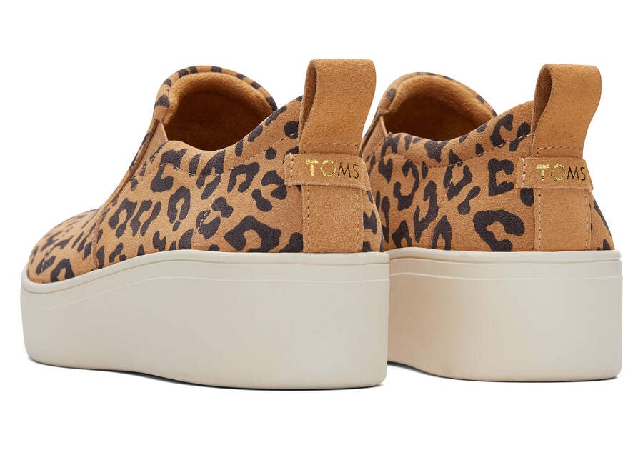 Toms Tristan Slip On Sneaker Leopardo Chile | CL250-816