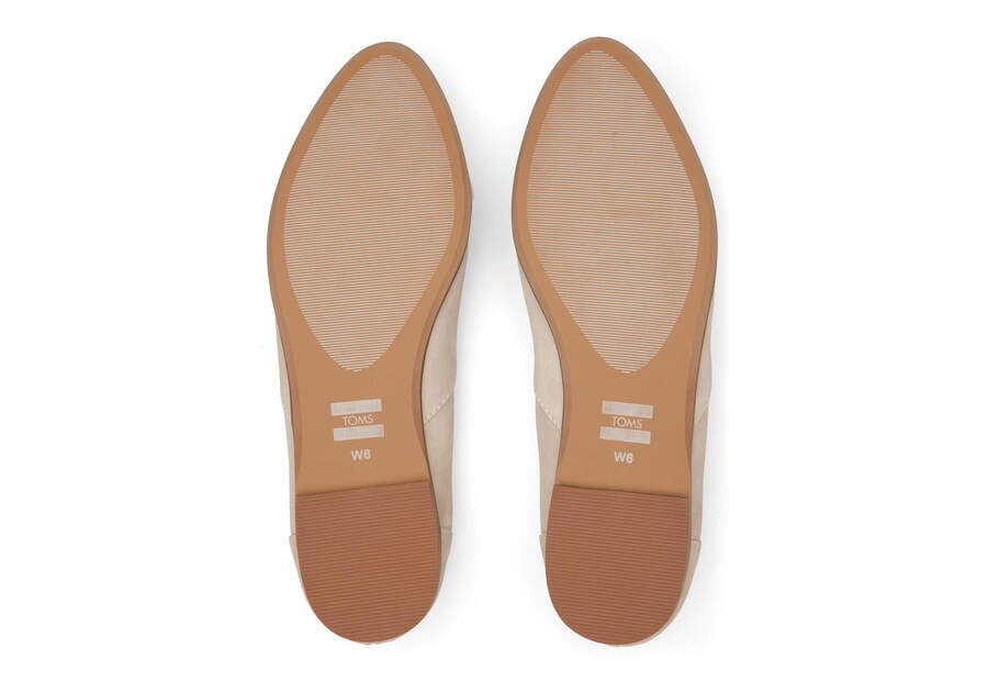 Zapatos Planos Toms Jutti Neat Planos Marrones Chile | CL440-003